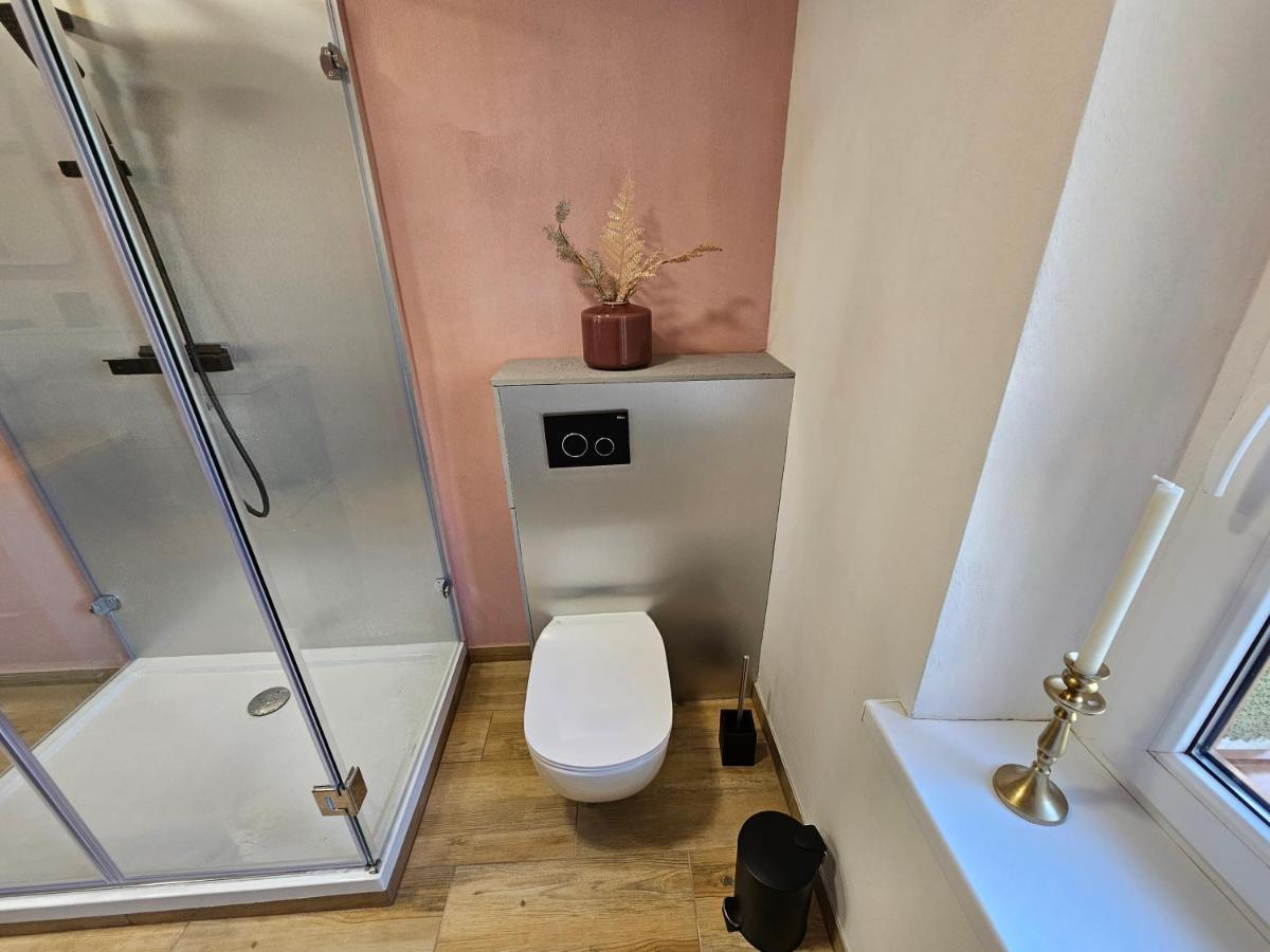 Alte Schule Apartment Zarska Ngoại thất bức ảnh